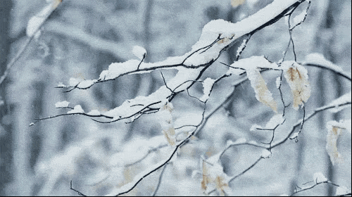 中國石材新品美學(xué)館為中國石材新品賦予新的能量