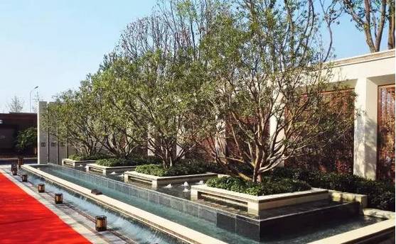 花崗巖石材樹池園藝環(huán)境石應用案例欣賞