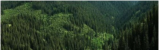 帶你領略大美新疆，附新疆產(chǎn)天然石材品種圖！