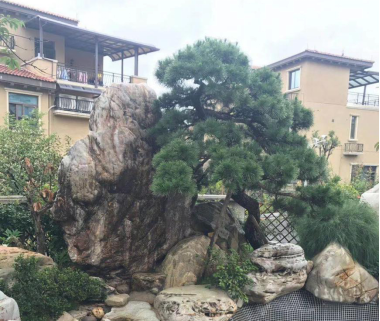 晏輝：用石材做的花盆真的人見人愛，每一款都獨(dú)具味道